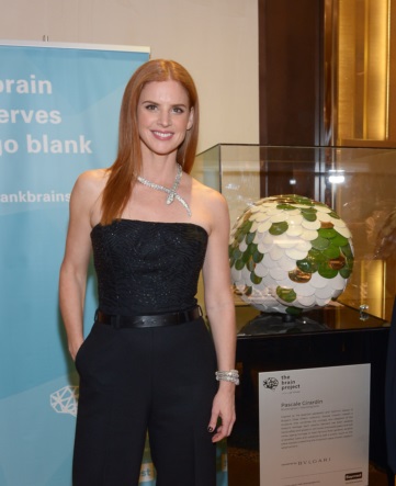 Sarah Rafferty Brain Project