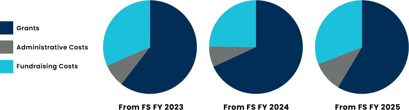 2025 Pie Charts